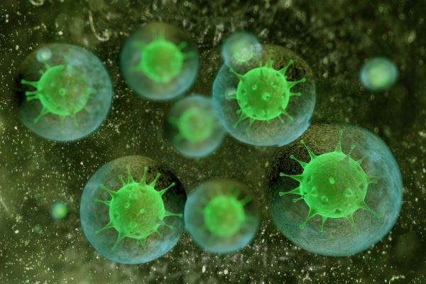 Что такое антитела и для чего они нужны организму